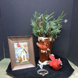 Cardinals To Show Someone Is With You All The Time.